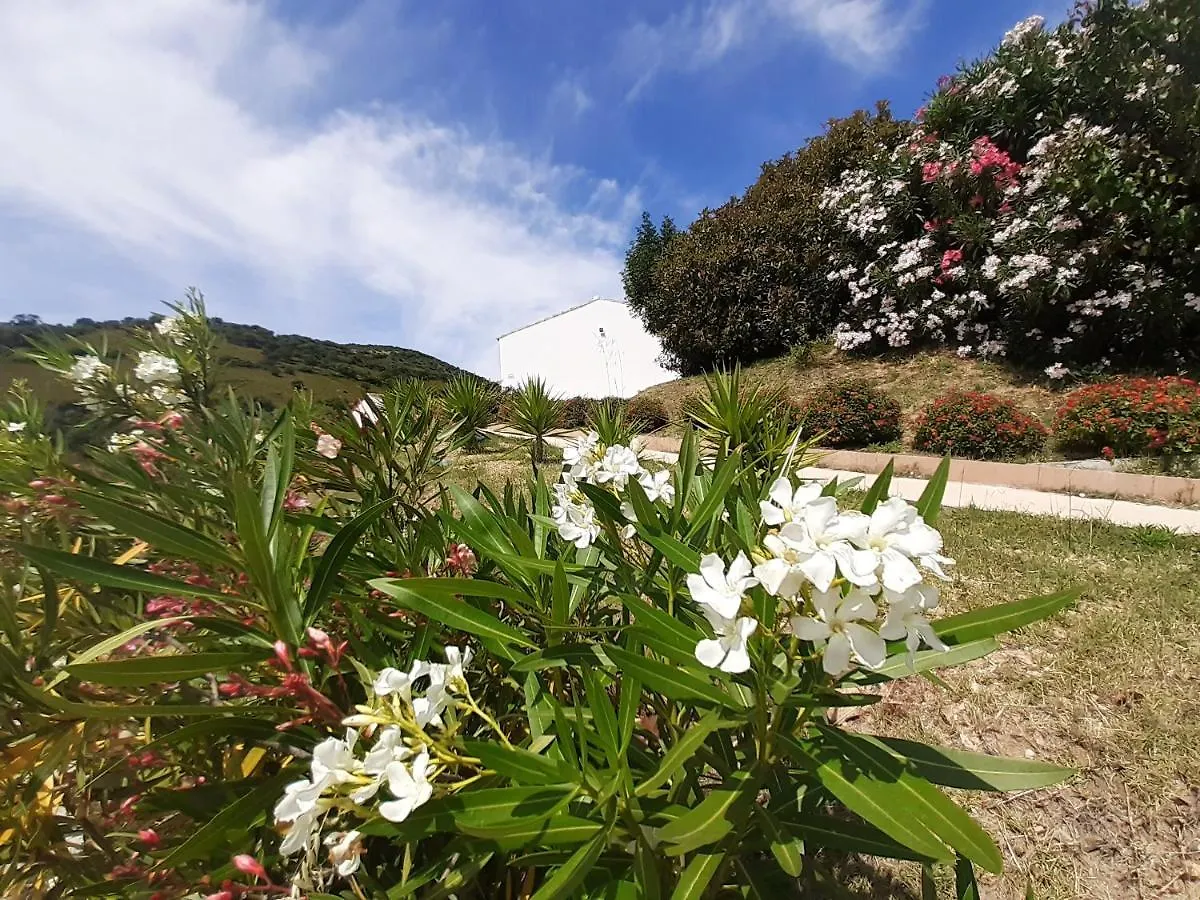 Sole&Sale Bed & Breakfast San Teodoro