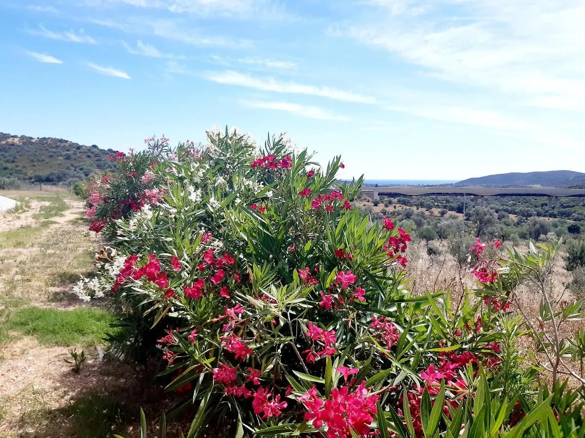 Sole&Sale Bed & Breakfast San Teodoro  0*, San Teodoro (Sardinia) İtalya