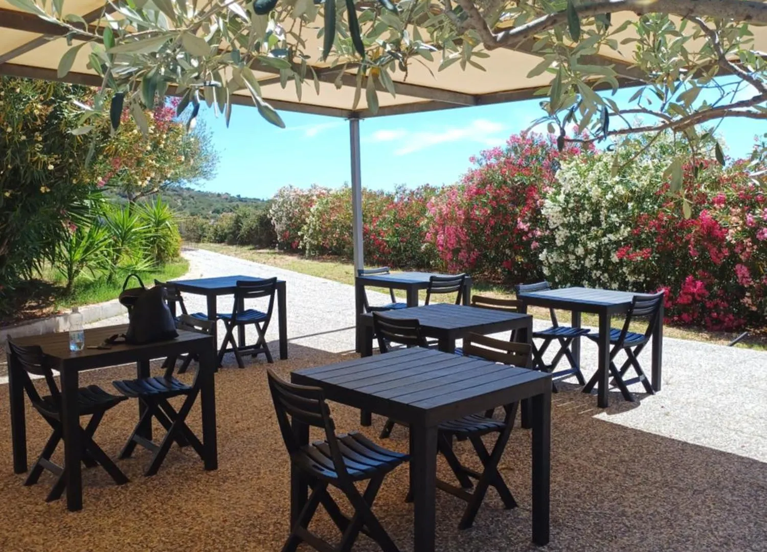 Sole&Sale Bed & Breakfast San Teodoro